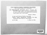 Image Associated With the Occurence